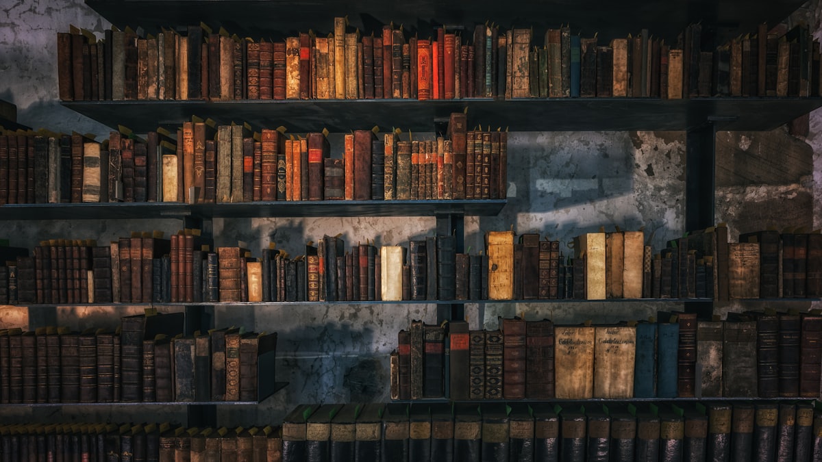 braune Holzregale mit Büchern