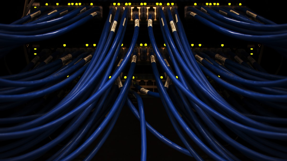 ein Bündel blauer Kabel, miteinander verbunden